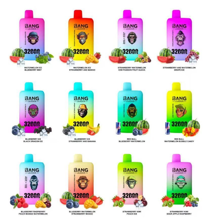 Bang Leader 32K Puffs Disposable Vape With Double Flavor